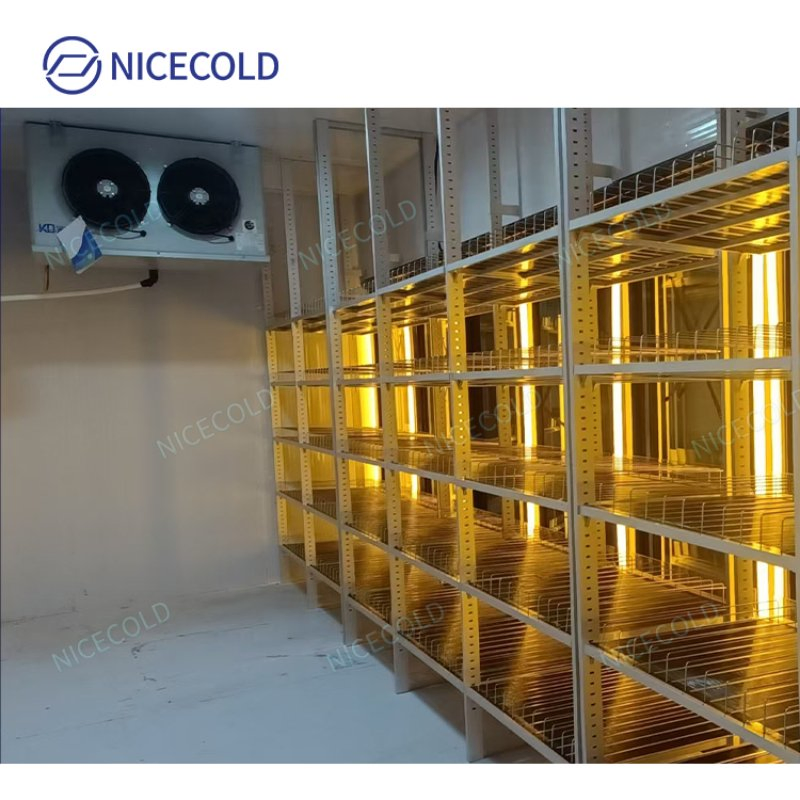 Premium Walk-in Beverage Cooler and Freezer Display Unit for Commercial Use