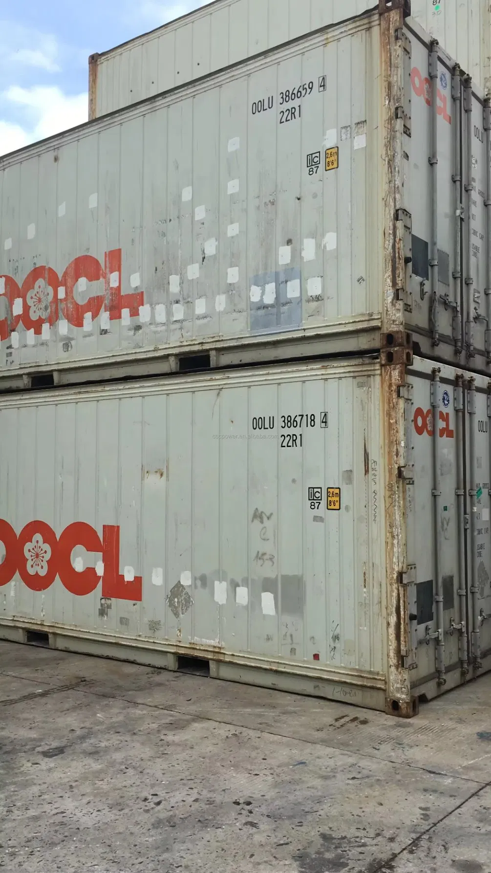 Refrigerated Container 40 Feet Frozen Shipping Container Equip Cooling Unit