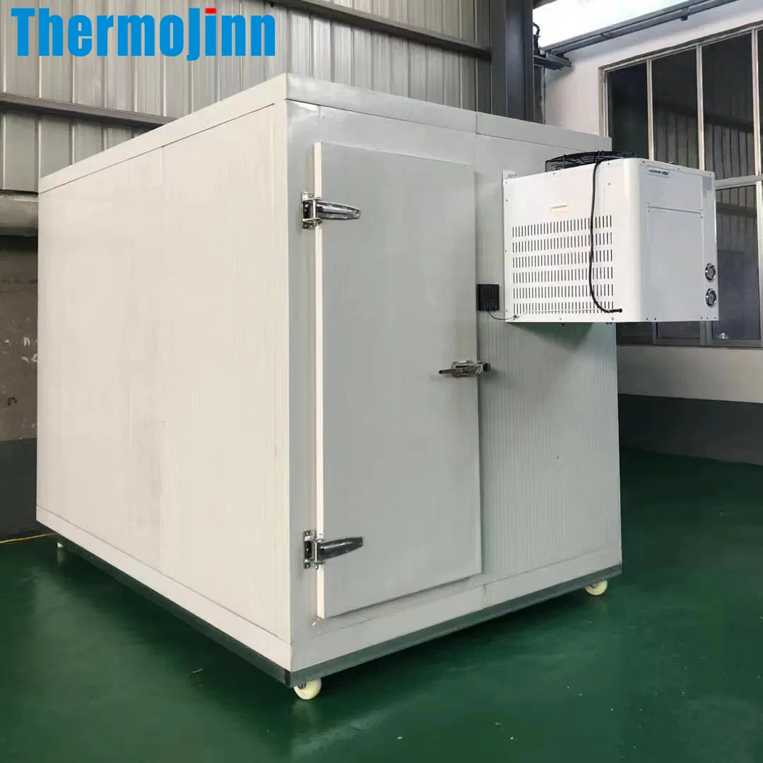 High Performance Mobile Cold Storage Room Premium Insulated Freezer Container for Meat and Fish with Advanced Refrigeration Technology