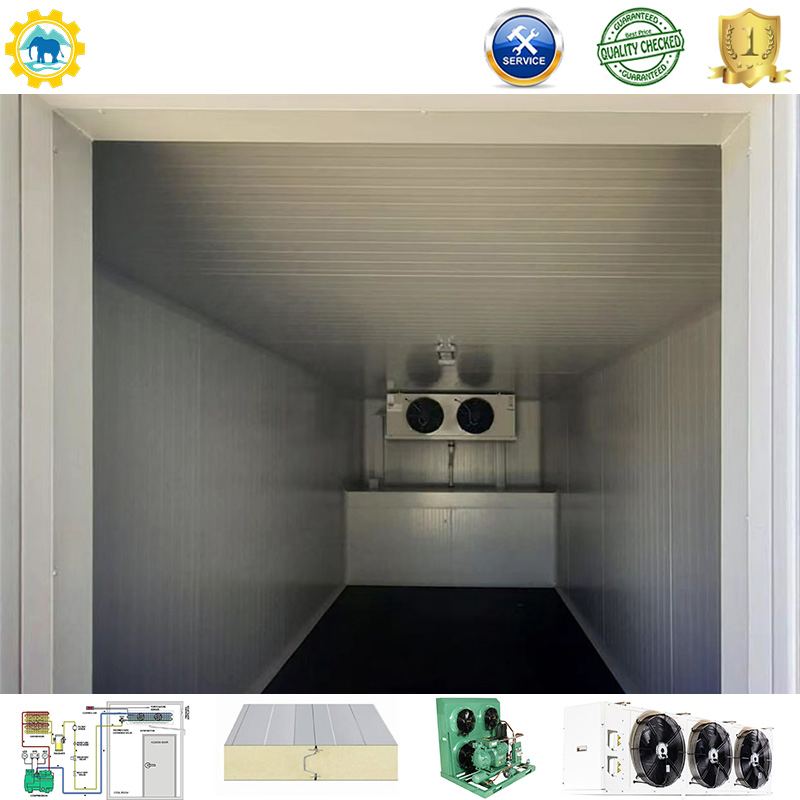 Cold Storage Room Freezer Container 100mm Panel Condensing Unit
