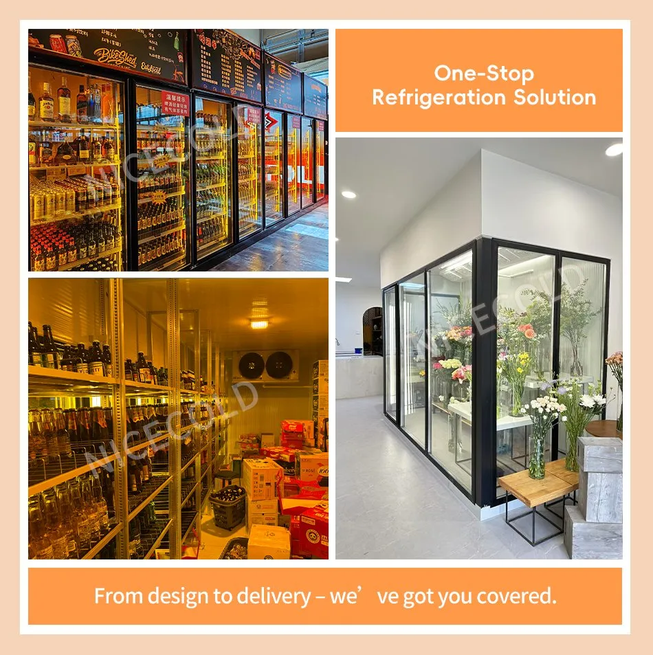 Custom Display Cold Room