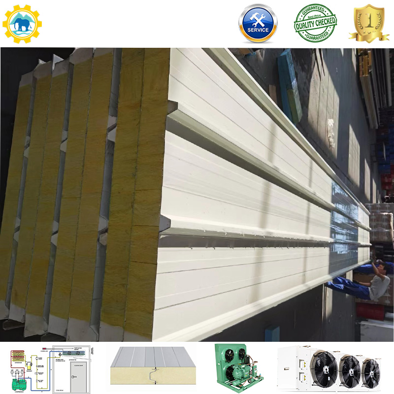 Cold Storage Room Freezer Container 100mm Panel Condensing Unit