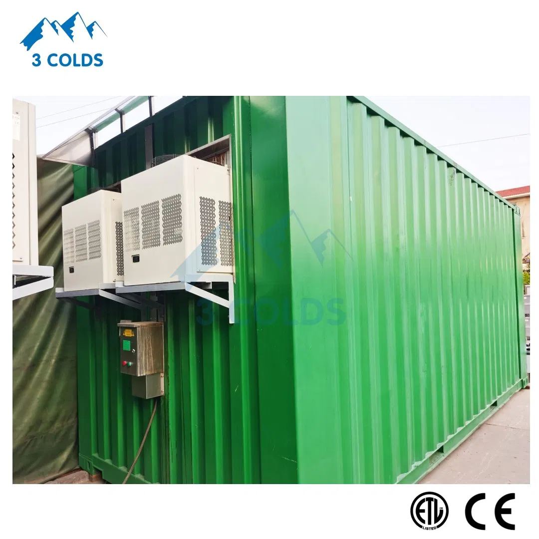 ETL Certificated Monoblock Refrigeration Unit for Cold Room Build in Container