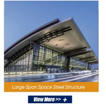 Large Span Structure