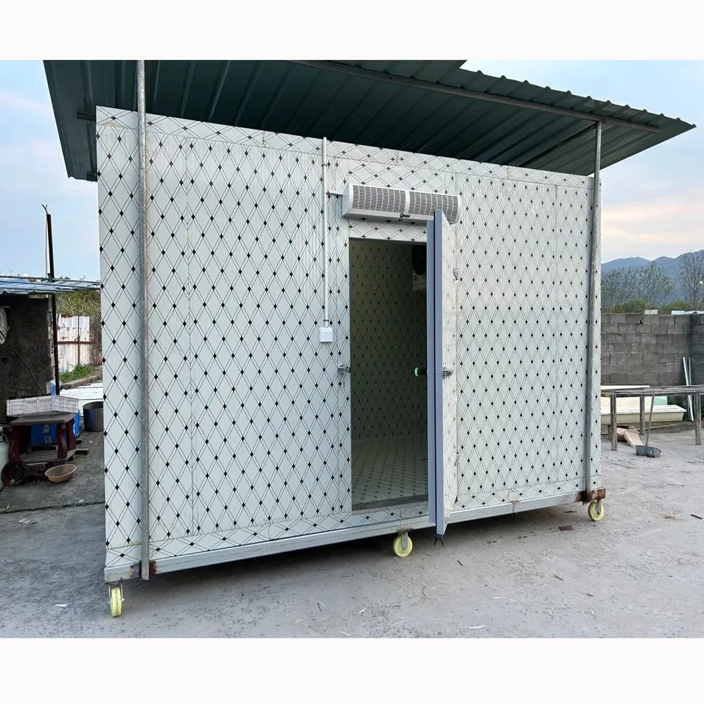 Energy-Efficient Mobile Cooling Solar Cold Rooms Container Units for Fruits and Vegetables