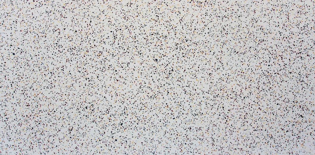 Large Slab Terrazzo Details