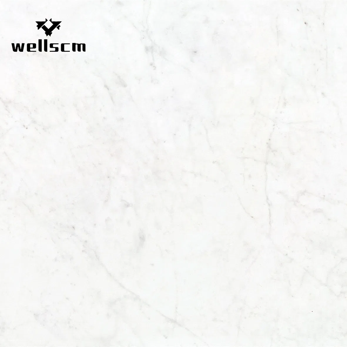 Padadiso Grey Sintered Marble Stone for High Quality Good Design House Bathroom Ceramic Floor Tiles