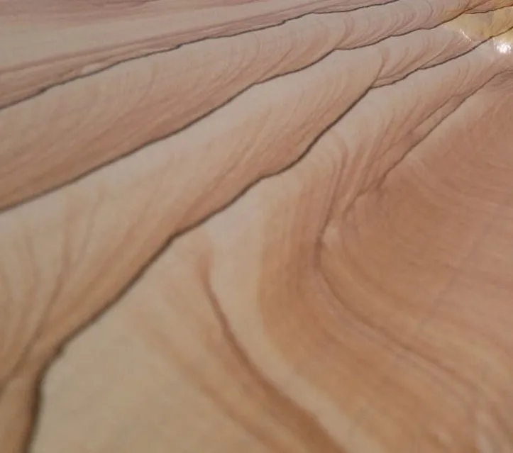 Yellow Wooden Vein Sandstone Slab