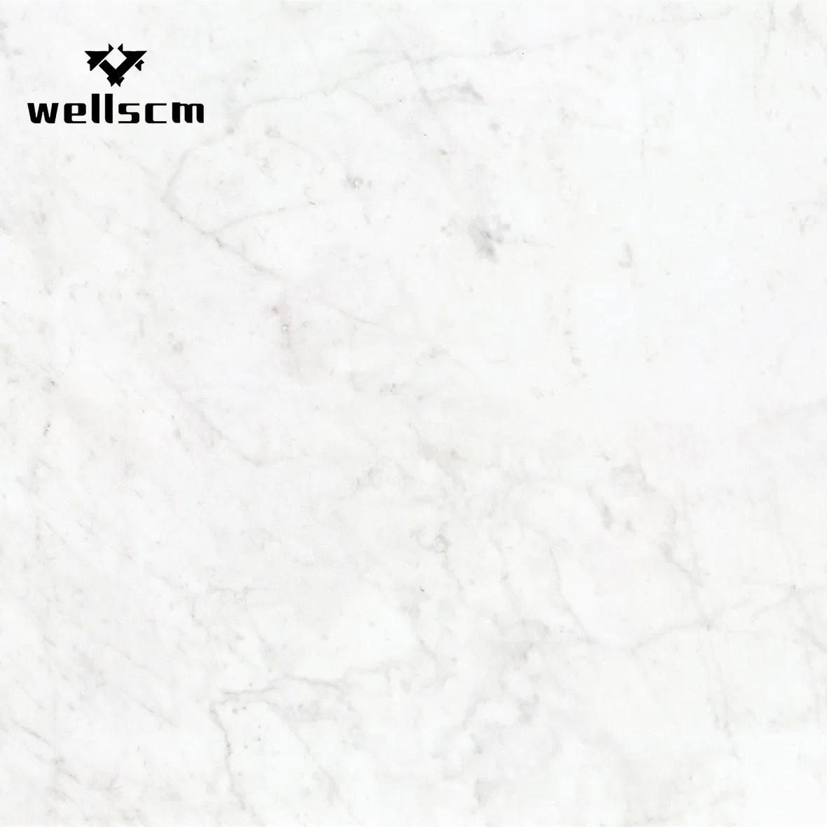 Padadiso Grey Sintered Marble Stone for High Quality Good Design House Bathroom Ceramic Floor Tiles