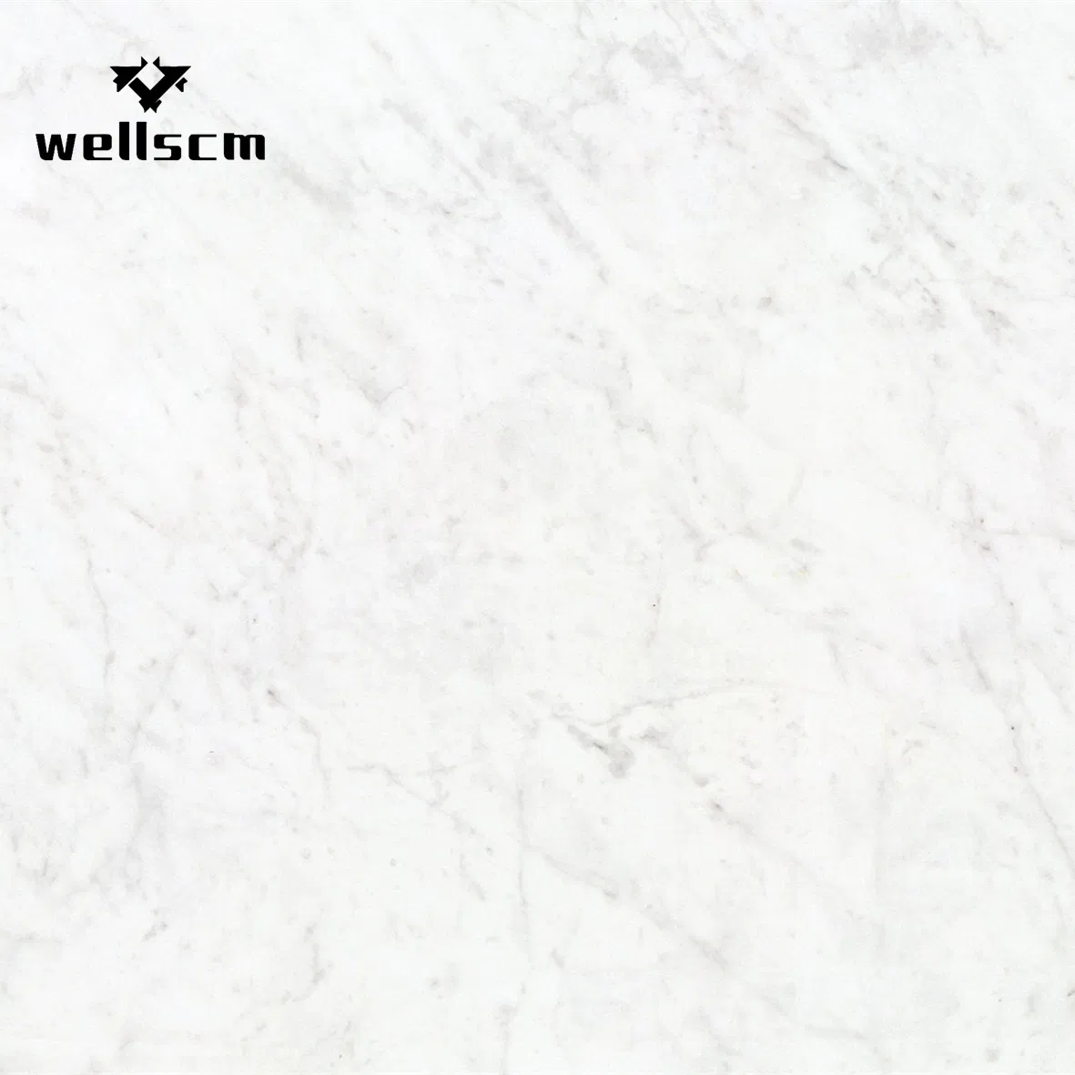 Padadiso Grey Sintered Marble Stone for High Quality Good Design House Bathroom Ceramic Floor Tiles