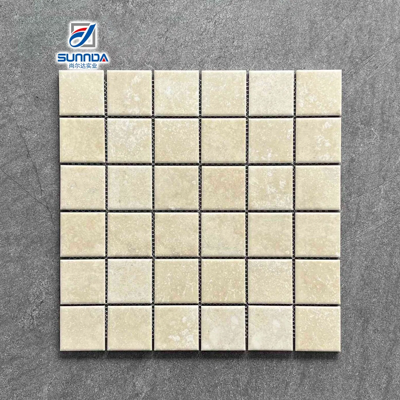 Swimming Pool Mosaic