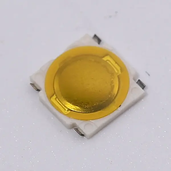 Tactile switch environmental protection and integration