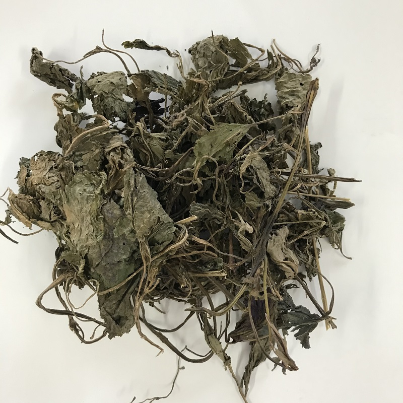 Zisuye Hand Picked Chinese Herbal Food Grade Perilla Leaf