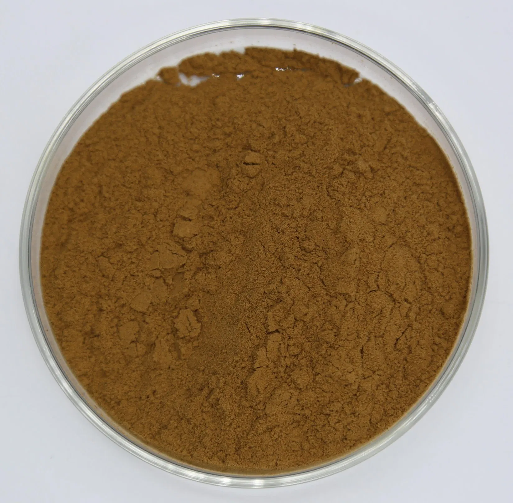 Pure Natural Chinese Herbal Heat Clearing and Detoxification Galium Aparine Extract Powder