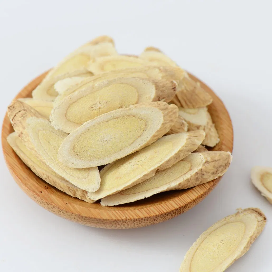Astragalus Wholesale