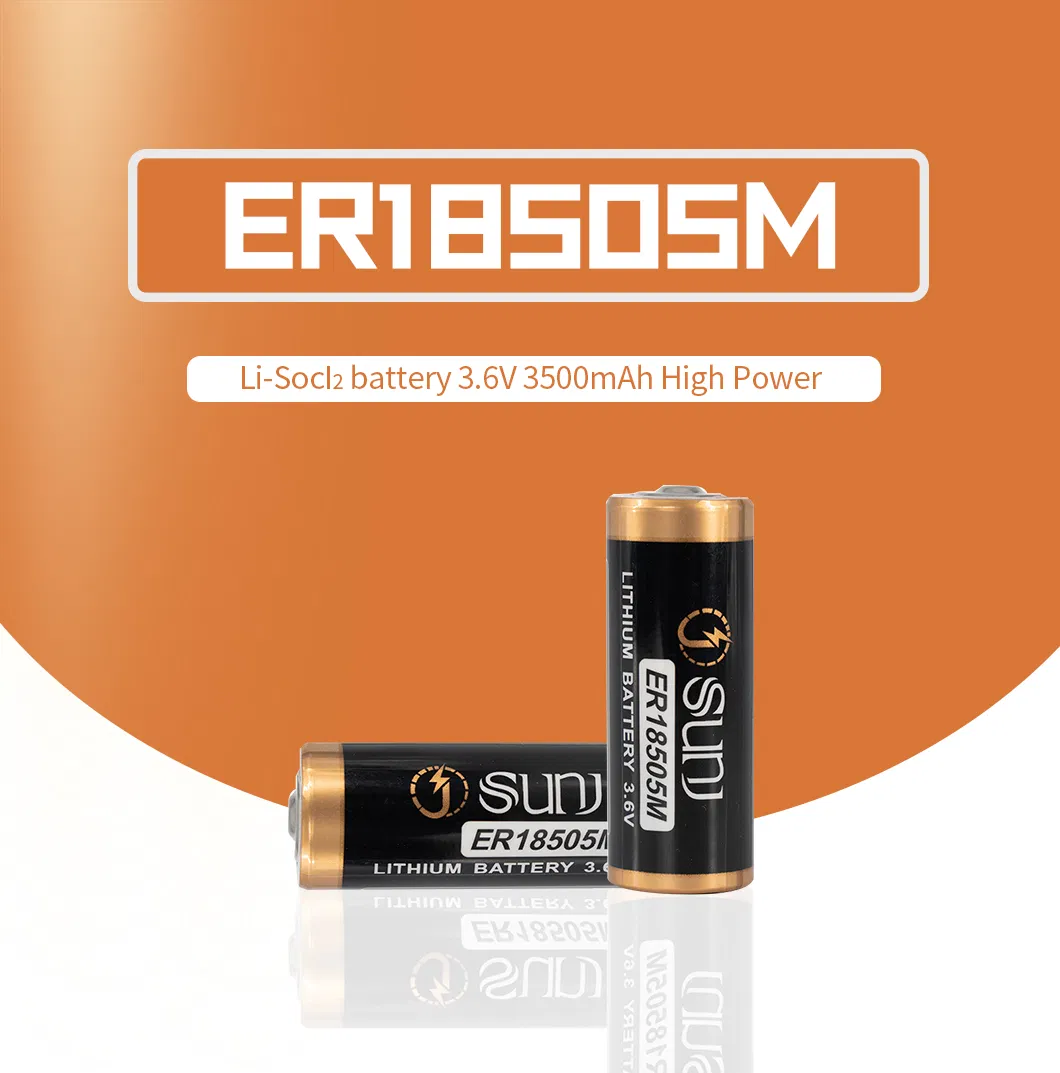 ER18505M Battery Description