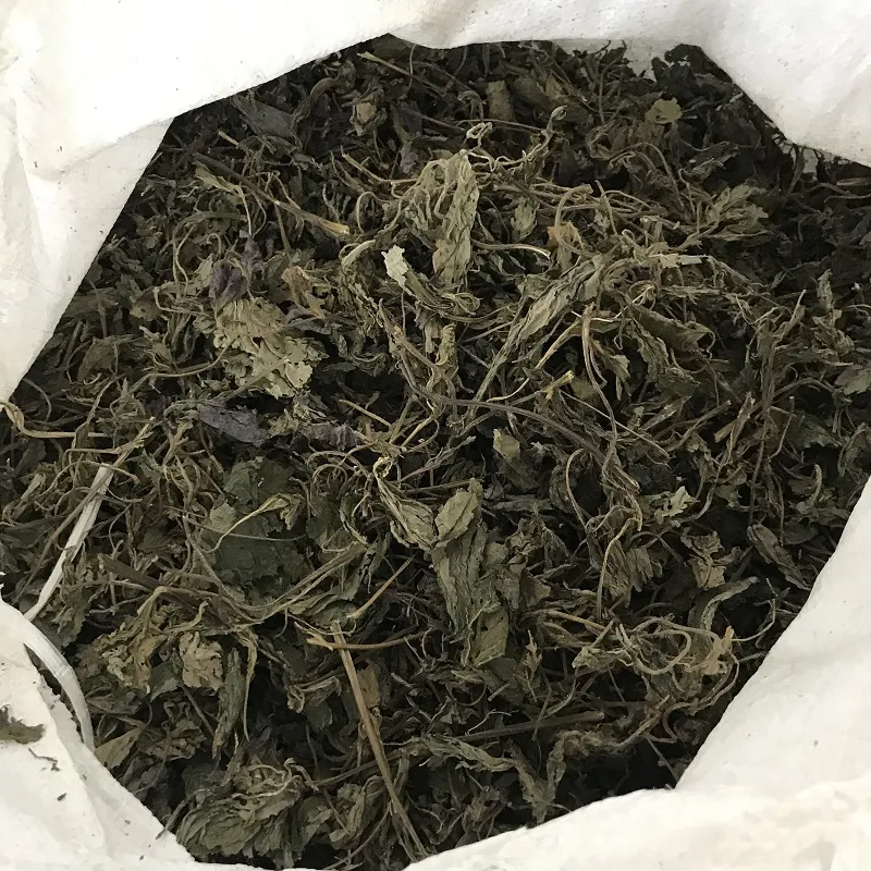 Perilla Leaf Quality