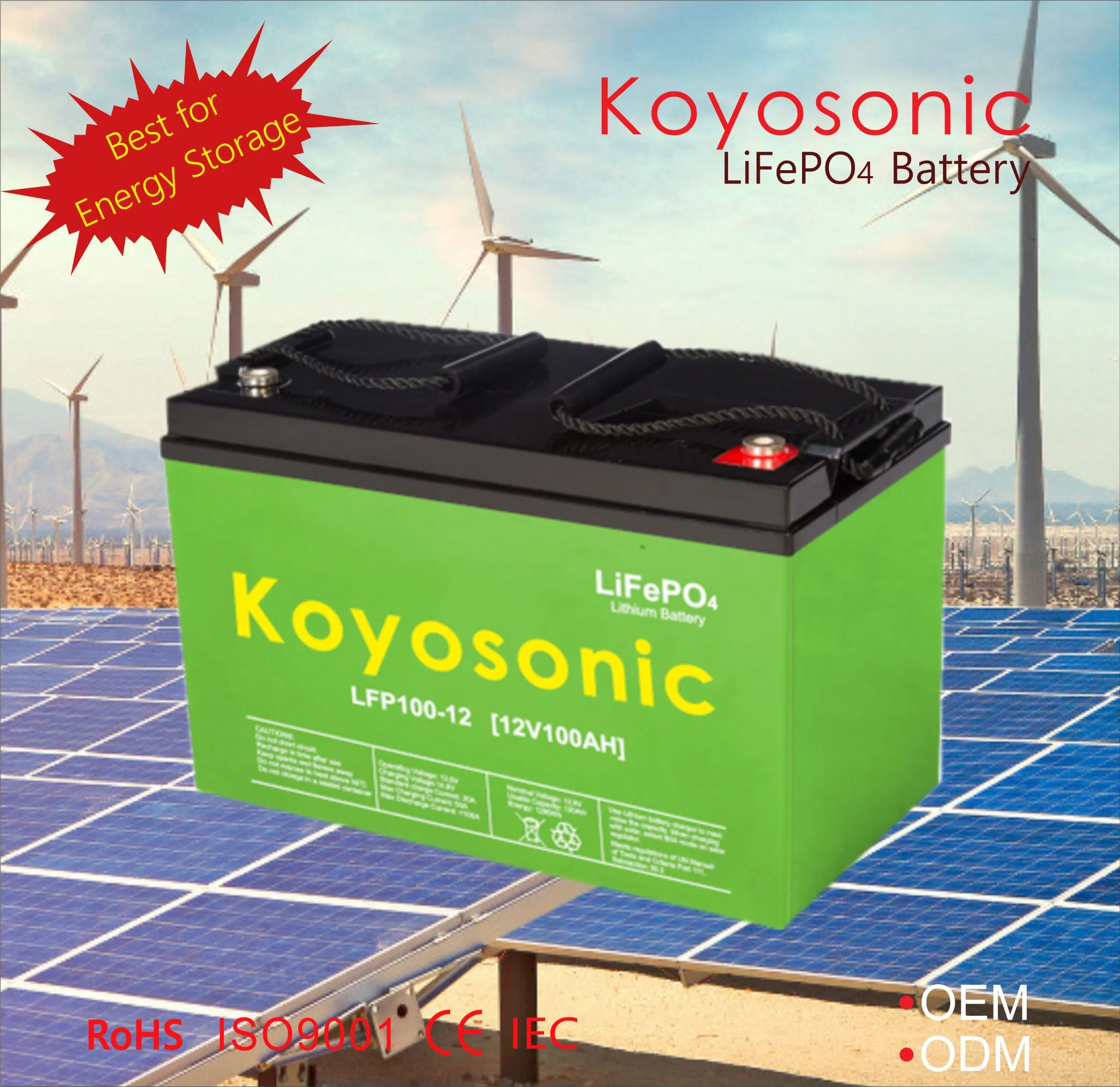 High-Capacity Lithium Battery Custom Lithium Battery Solutions 24V 25.6V 120ah