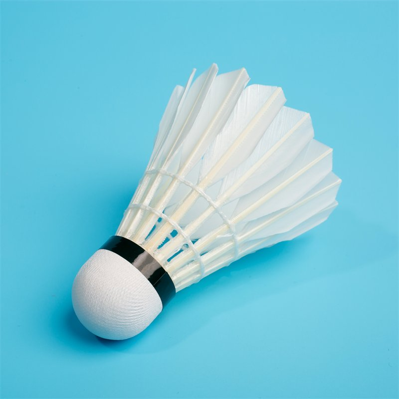 Most Durable Ganba Cigu Duck Feather Badminton Shuttlecock Situable for Indoor &amp; Outdoor Badminton Shuttlecock
