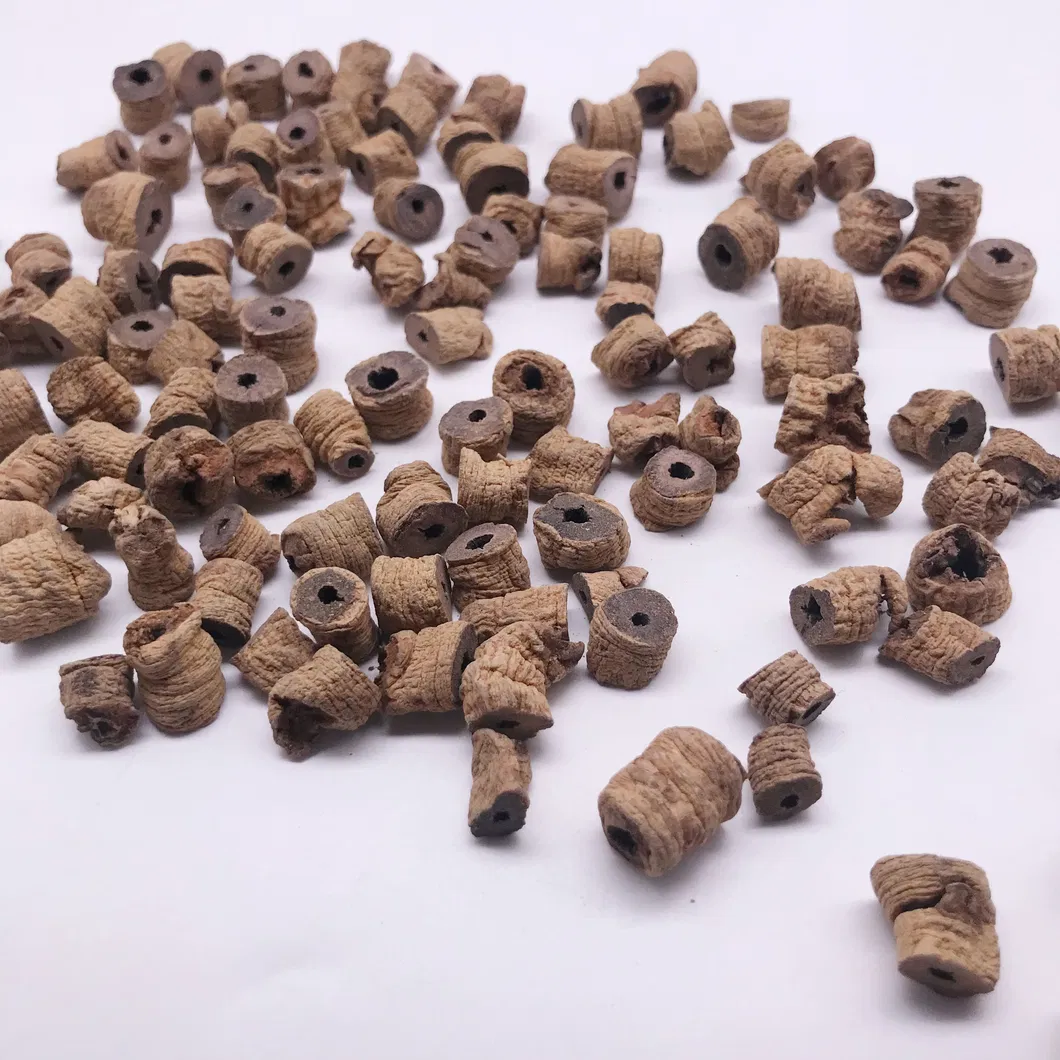 Morinda Root Detail 3