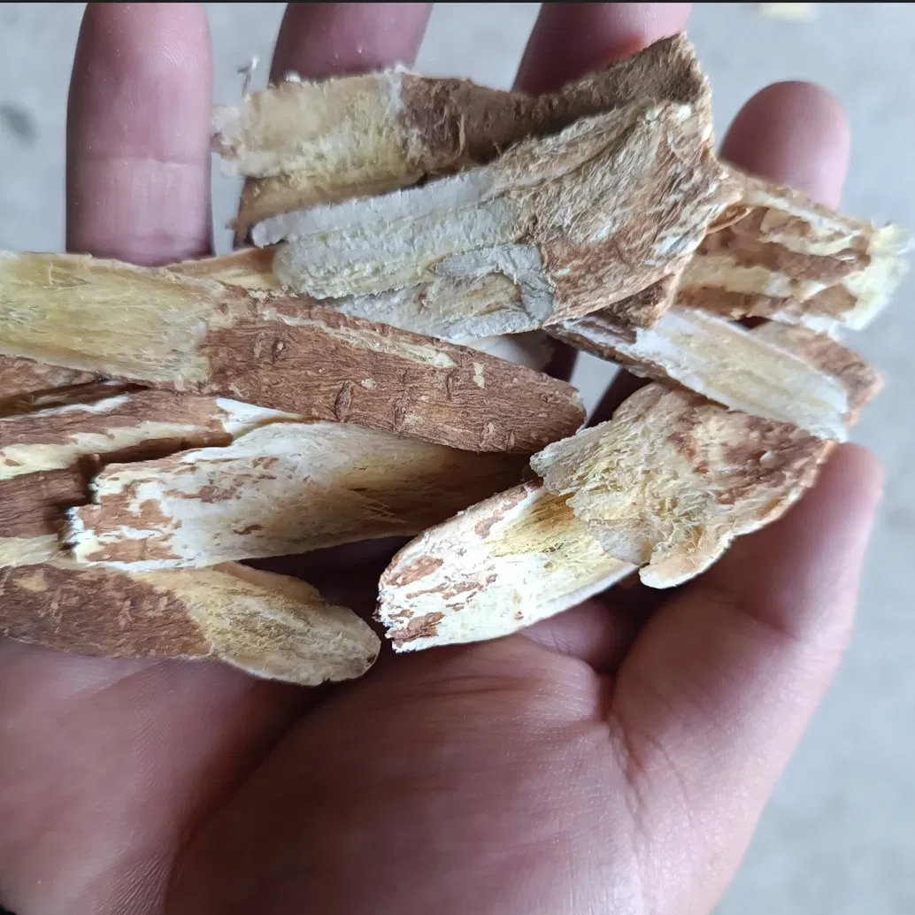 Wholesale High-Quality Red Astragalus Hierbas Medicinales in Willow-Leaf Herbal Slices, Factory-Direct for Export