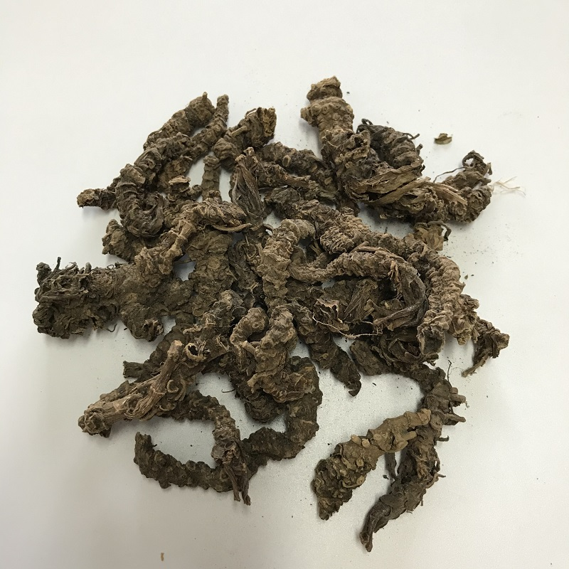 Chinese Herbal Dried Valerian Root Valeriana Officinalis for Relieve Insomnia