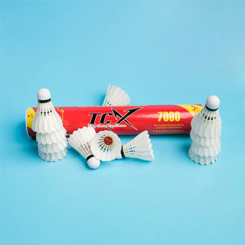 Shuttlecock Detail 1