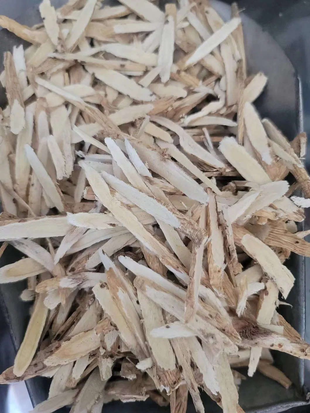 Astragalus Slice Type 3