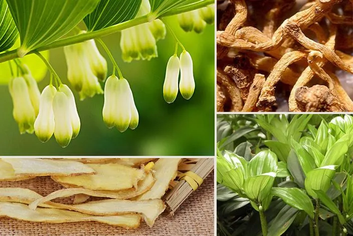 Yu Zhu 100% Natural Herbal Medicine