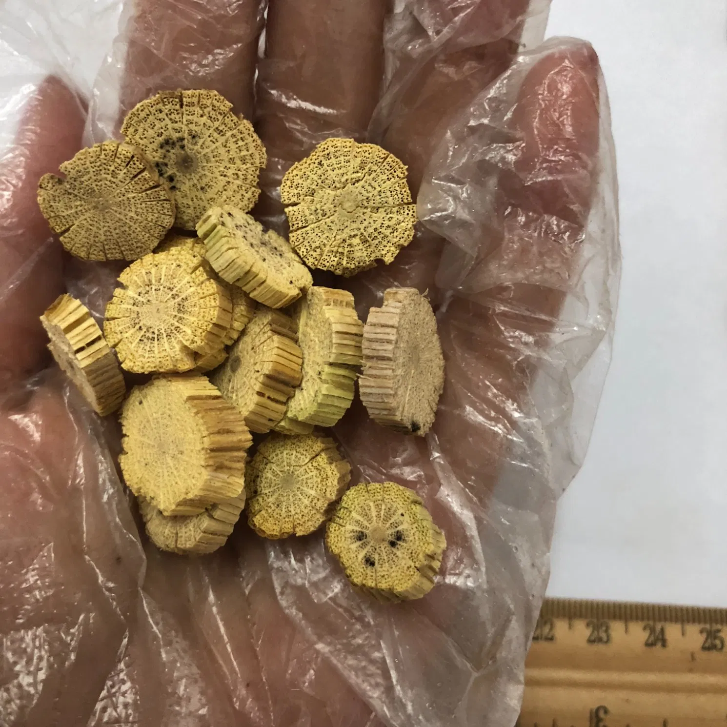 Mu Tong Hot Sale Herbal Medicine Caulis Clematidis Armandii for Oedema