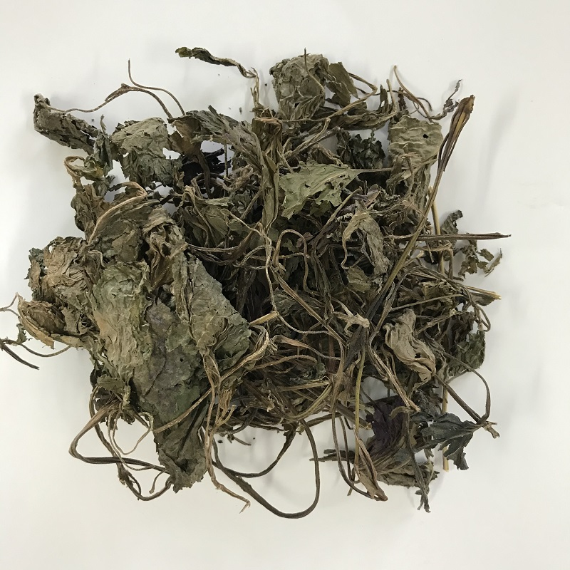 Zisuye Hand Picked Chinese Herbal Food Grade Perilla Leaf