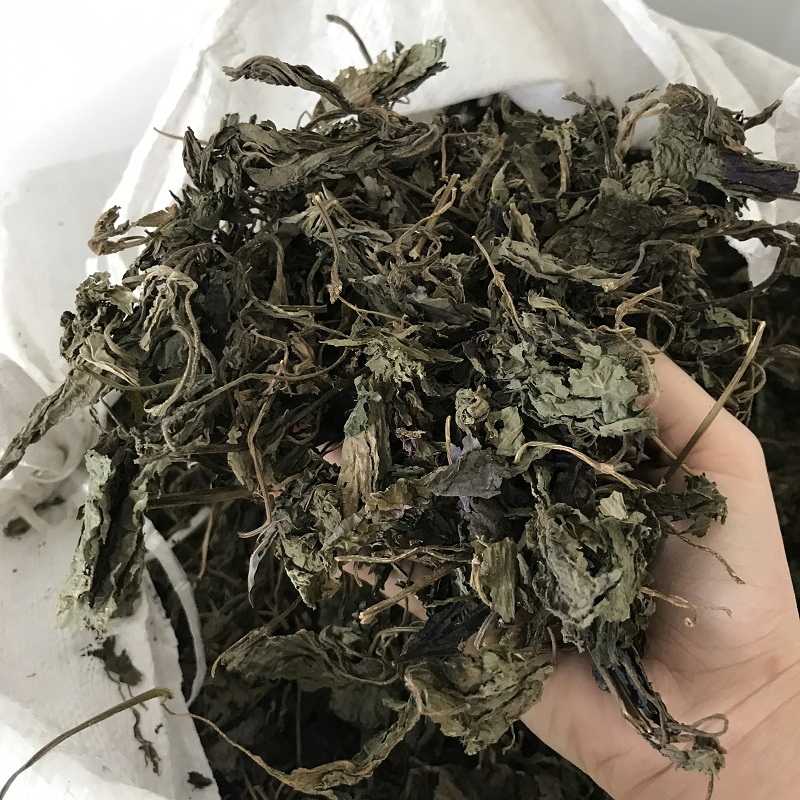 Zisuye Hand Picked Chinese Herbal Food Grade Perilla Leaf