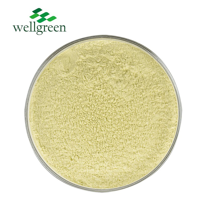 Premium Natural Herbal Feed Additive with Scutellaria Baicalensis Extract
