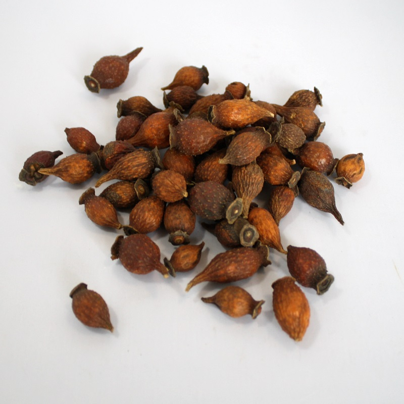 Jin Ying Zi Factory Supply Herbal Fruit of Cherokee Rose