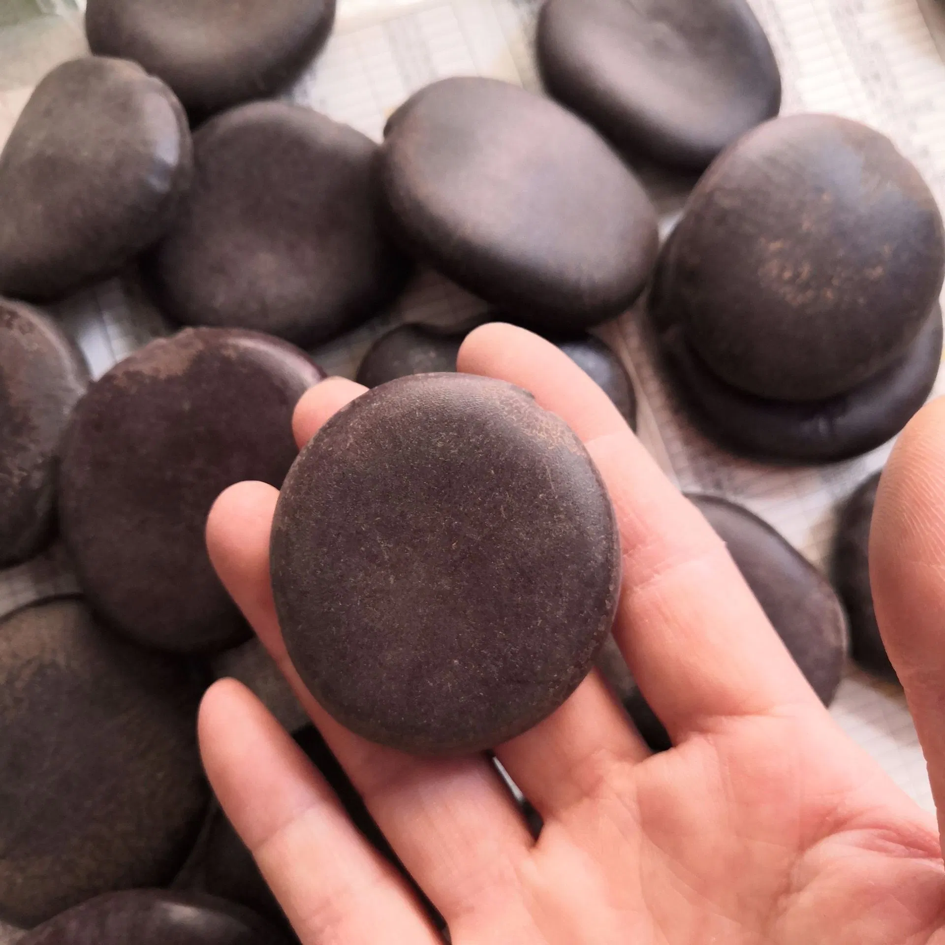 Ke Teng Zi Chinese Herbal Medicine GMP Factory Supply Entada Phaseoloides