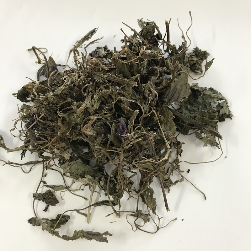 Zisuye Hand Picked Chinese Herbal Food Grade Perilla Leaf