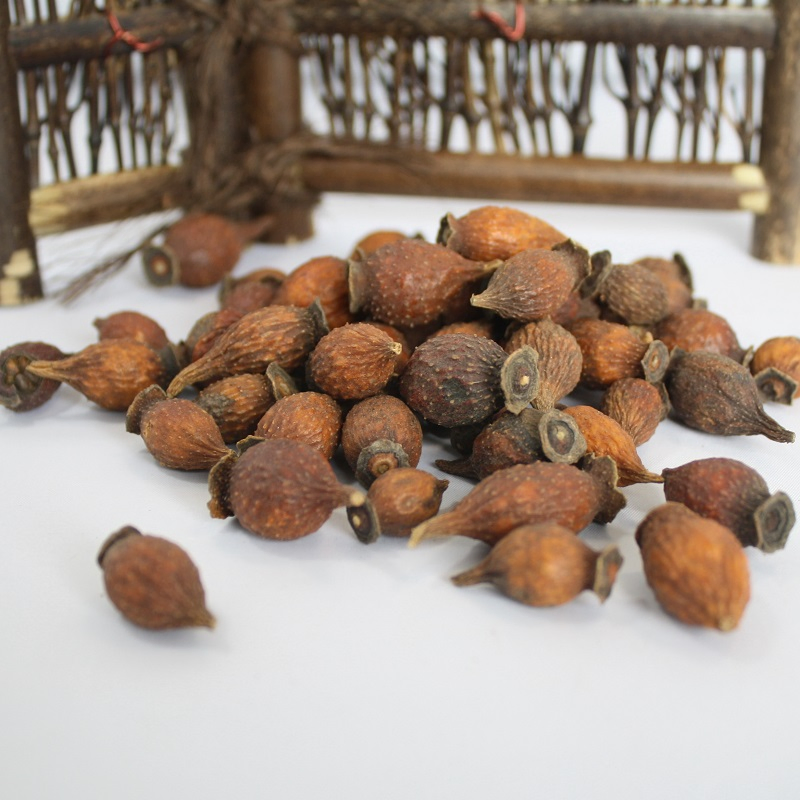 Jin Ying Zi Factory Supply Herbal Fruit of Cherokee Rose