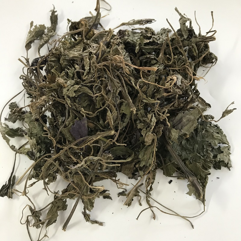 Zisuye Hand Picked Chinese Herbal Food Grade Perilla Leaf
