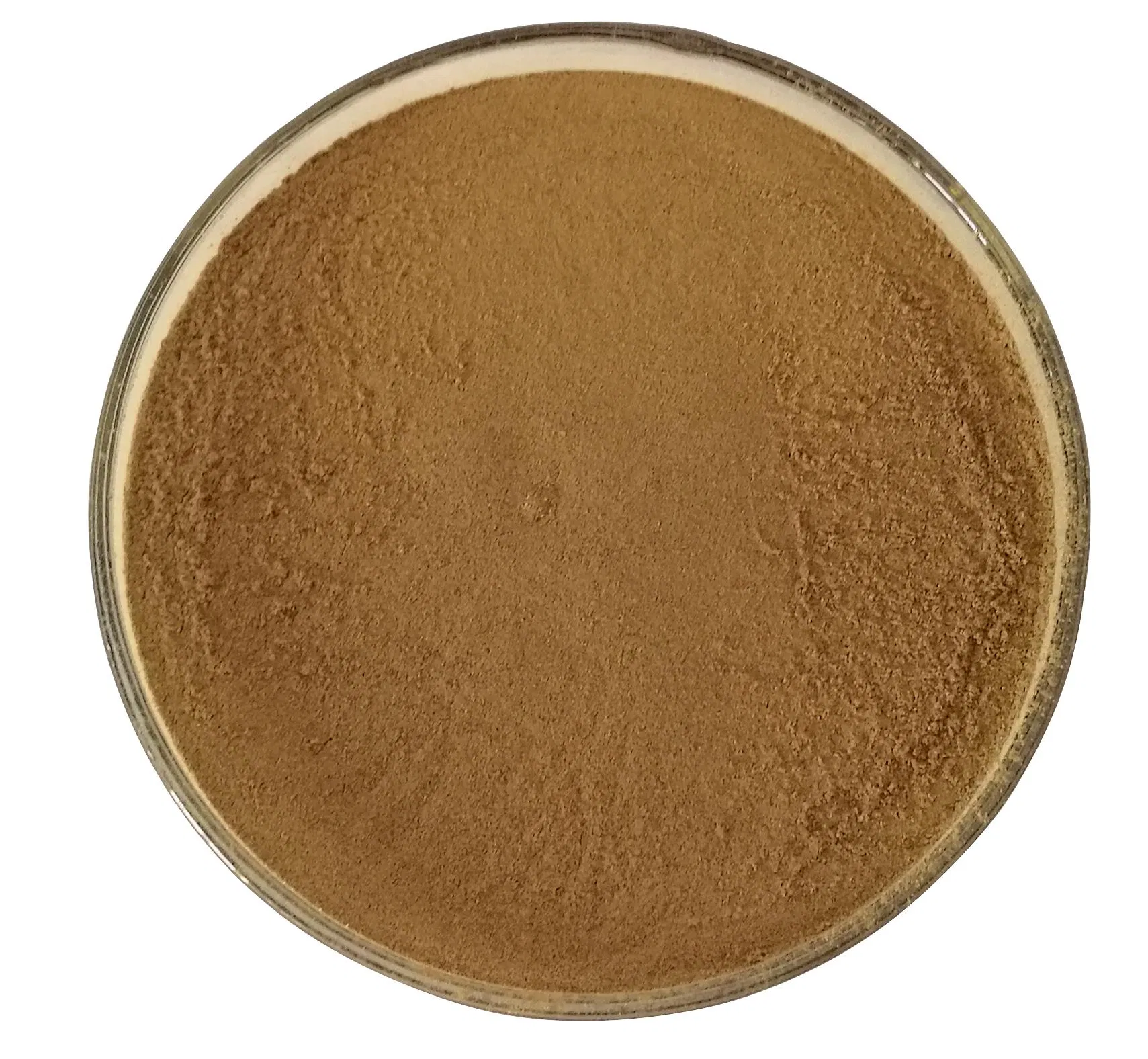 Pure Natural Chinese Thorowax Root Powder Chinese Herbal Extract Powder