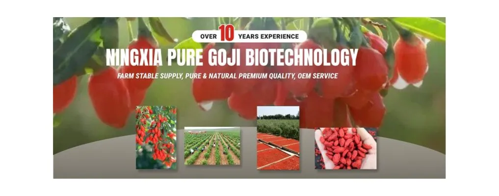 Goji Berry Juice Concentrate