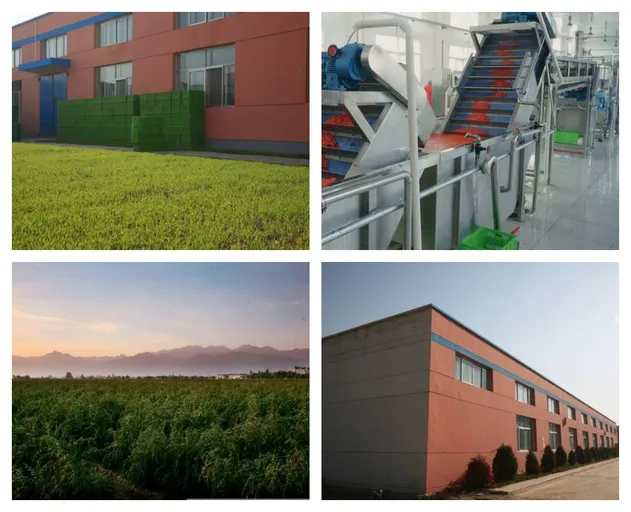 Production Facility 2