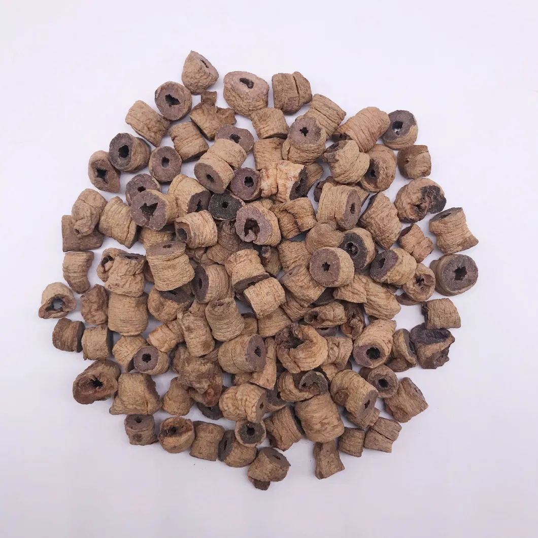 Morinda Root Detail 2