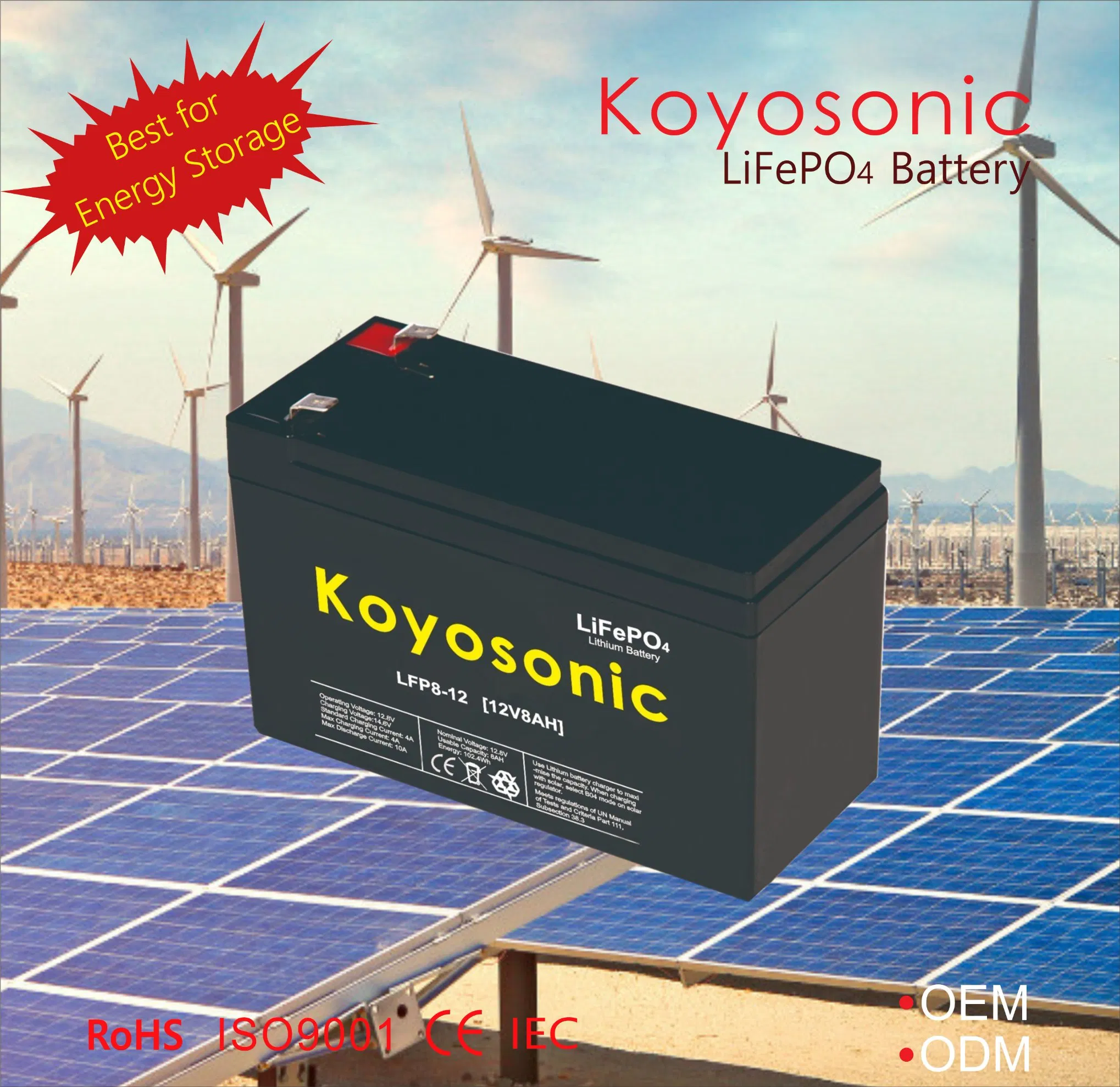 High-Capacity Lithium Battery Custom Lithium Battery Solutions 24V 25.6V 120ah