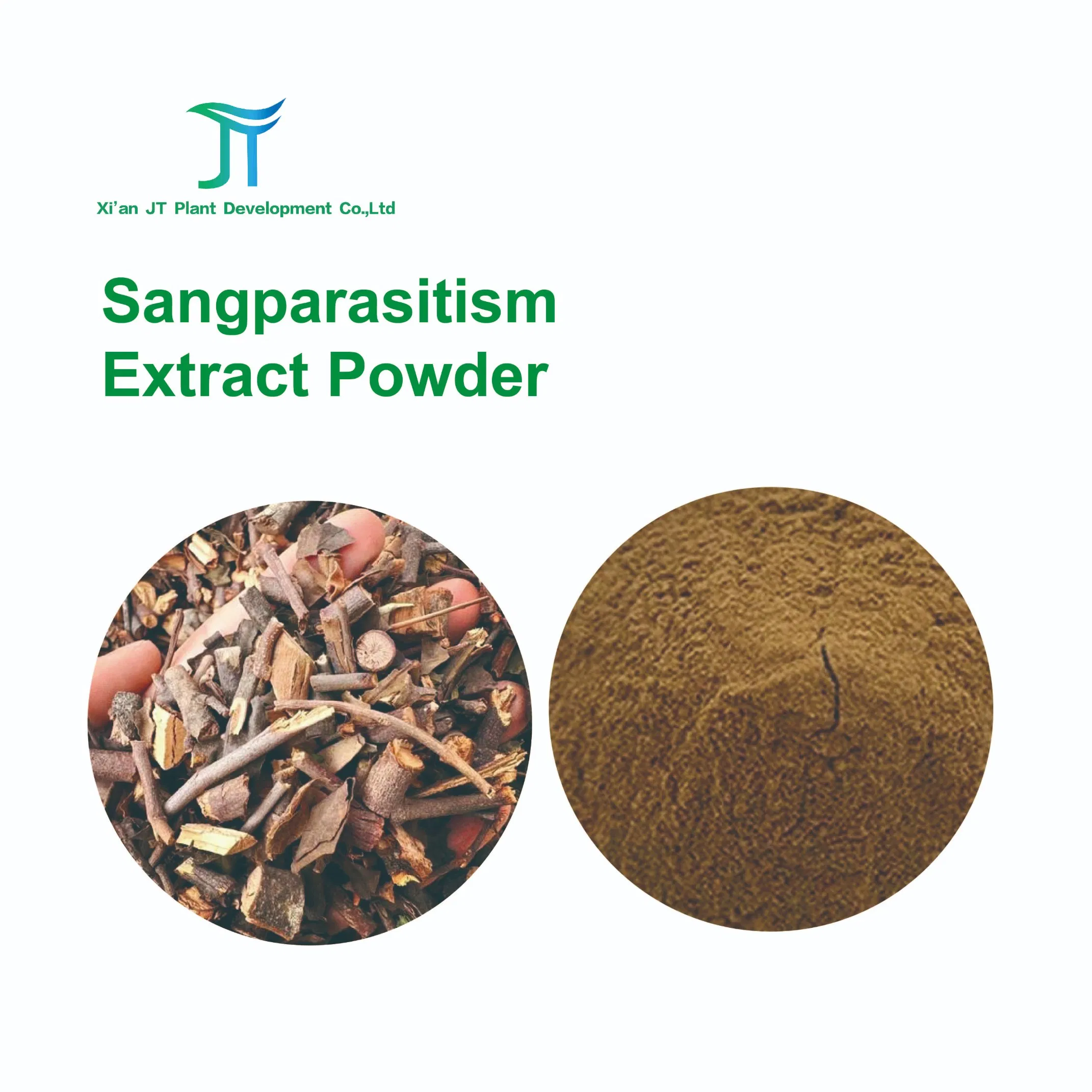 Pure Natural Chinese Herbal Medicinel Dispelling Rheumatism Sangparasitism Extract Powder