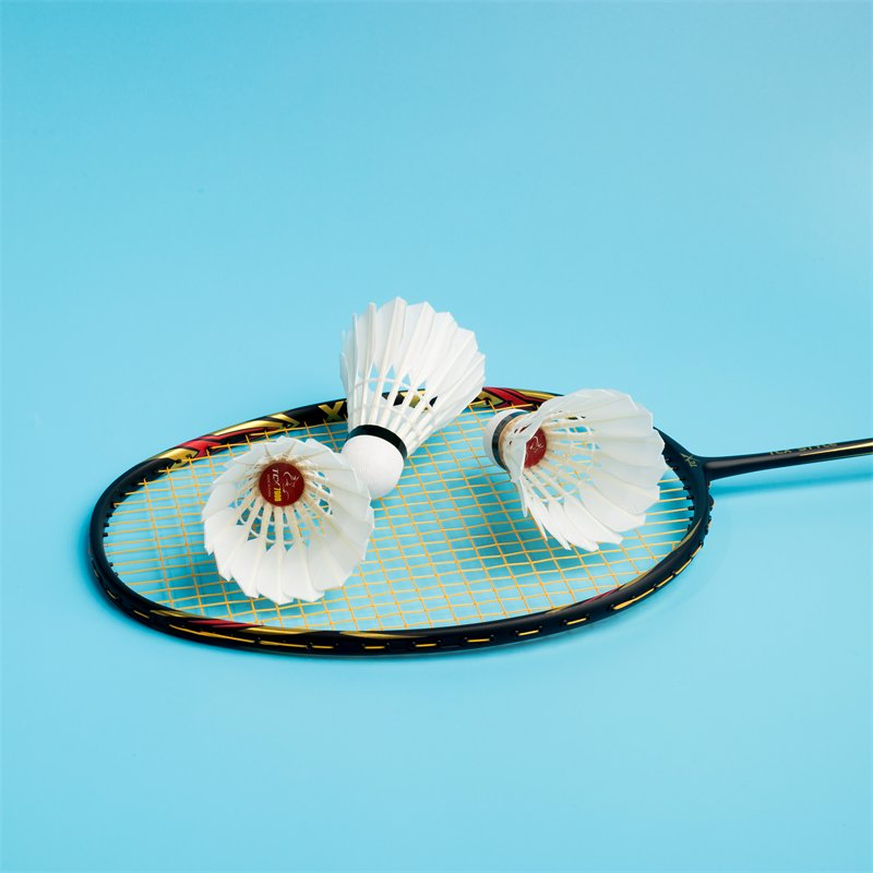 Most Durable Ganba Cigu Duck Feather Badminton Shuttlecock Situable for Indoor &amp; Outdoor Badminton Shuttlecock