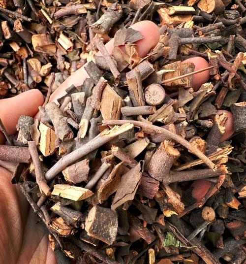 Pure Natural Chinese Herbal Medicinel Dispelling Rheumatism Sangparasitism Extract Powder