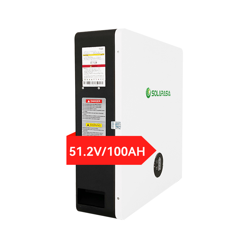 51.2V LiFePO4 Battery Solar Energy Storage System Home Backup Power Supply Lithium Iron Phosphate Deep Cycle