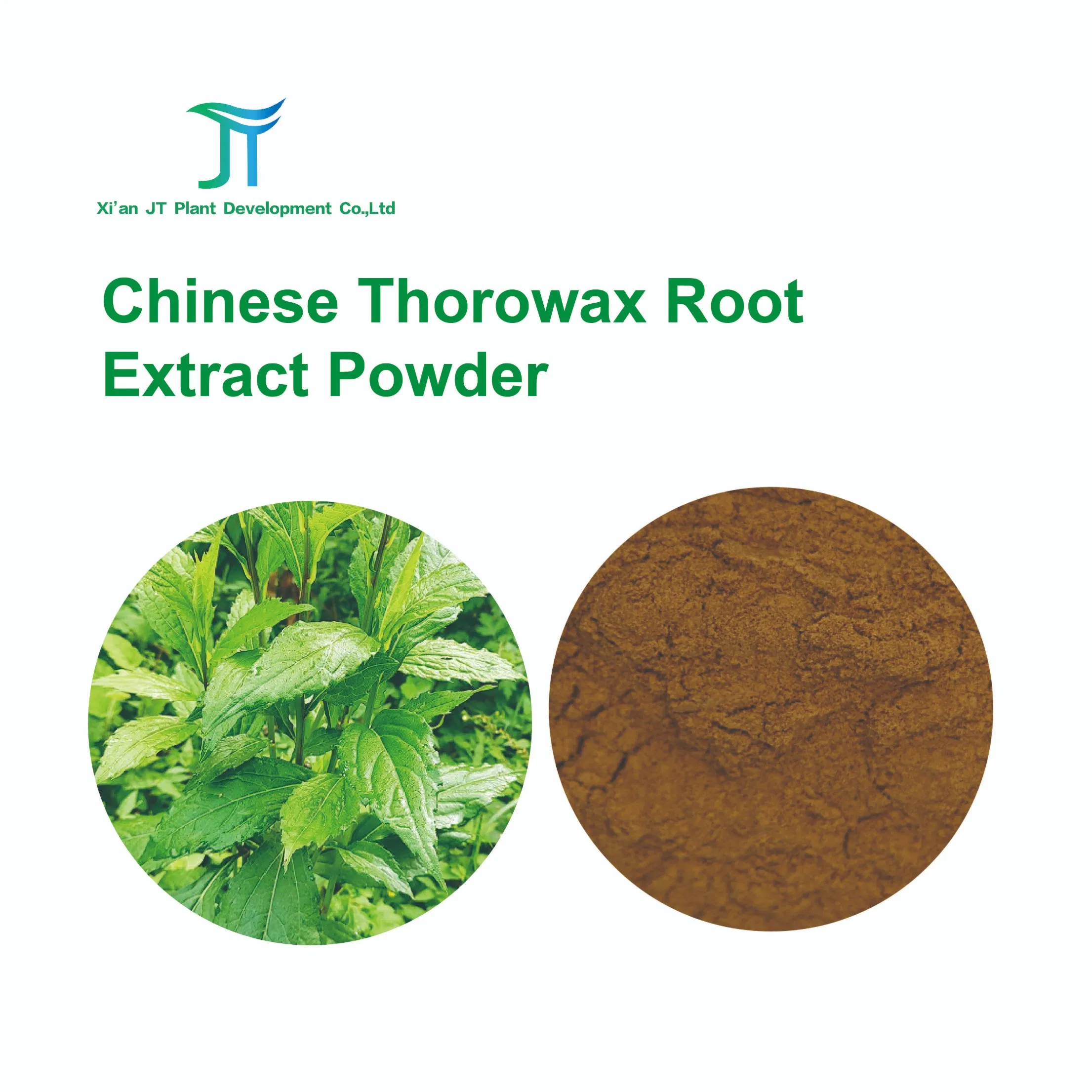 Pure Natural Chinese Thorowax Root Powder Chinese Herbal Extract Powder