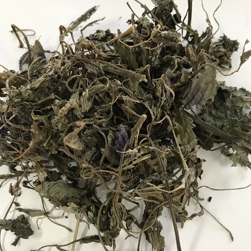 Perilla Leaf Detail 2