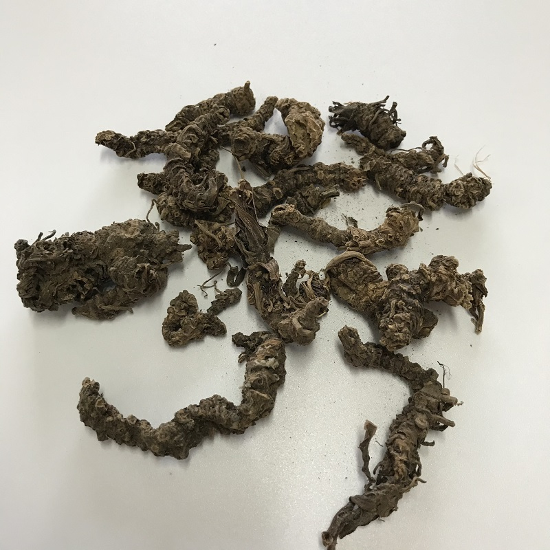 Chinese Herbal Dried Valerian Root Valeriana Officinalis for Relieve Insomnia